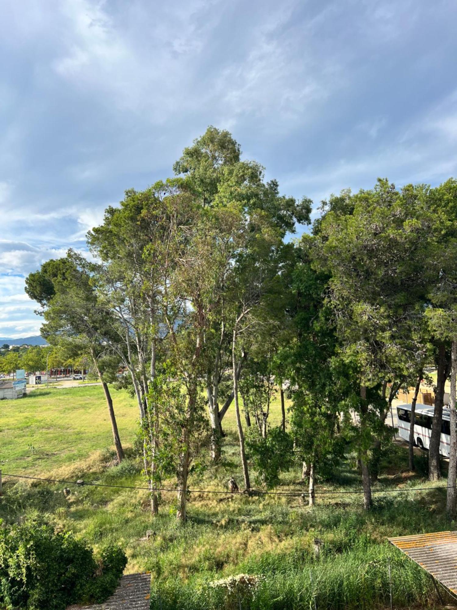 3 Room Apartment, 500M To Beach, Swimming Pool, Nice Terrace Roses Bagian luar foto